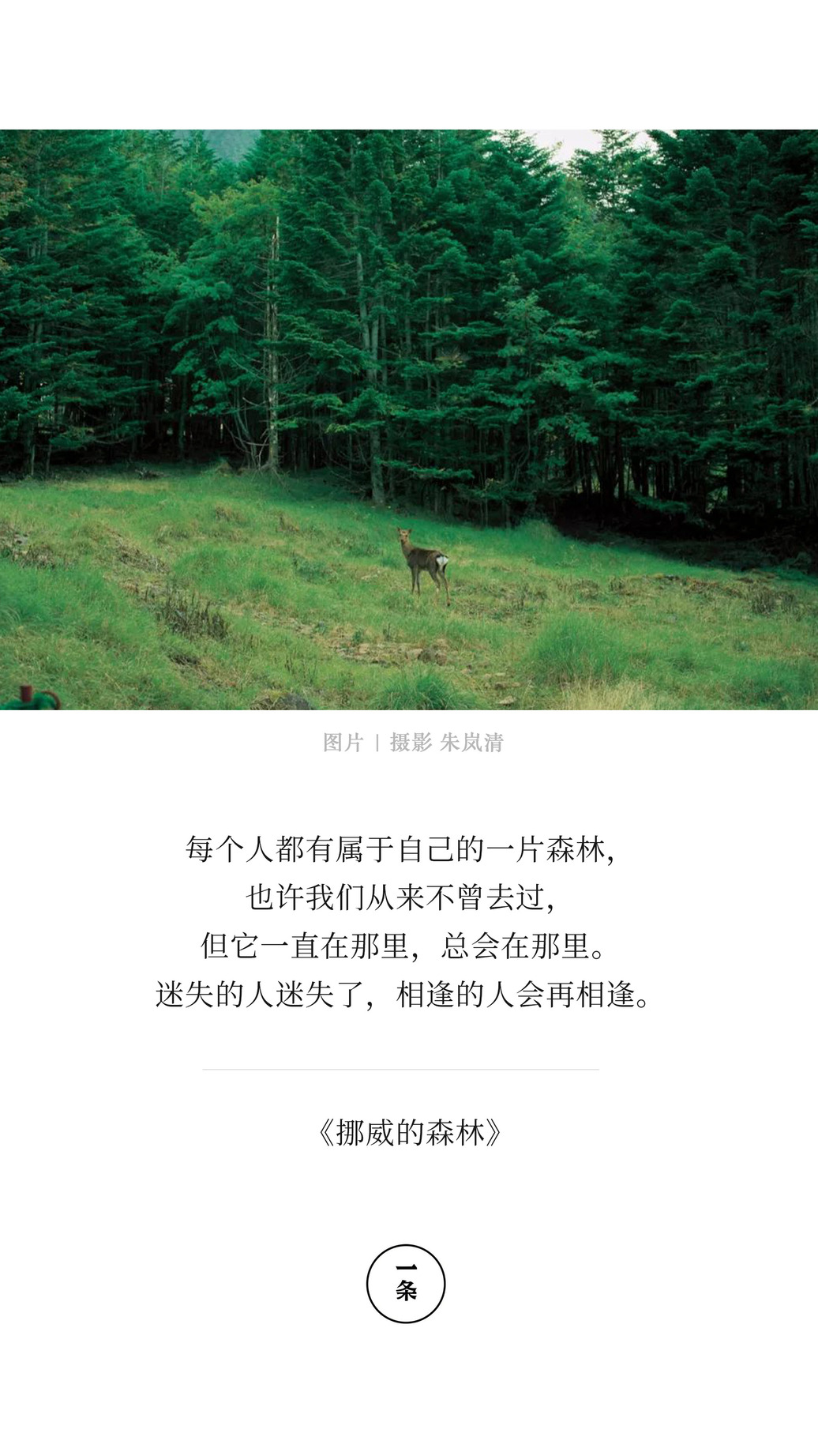 图片集